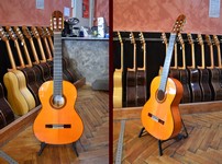 Guitare flamenca Amalio Burguet 3FA